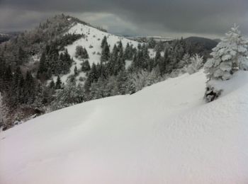 Randonnée Raquettes à neige Saint-Genès-Champanelle - Le Puy de Lassolas depuis Laschamps - Photo