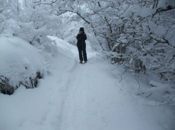 Tocht Sneeuwschoenen Orcines - Les bacs de Montmeyre et Ceyssat - Photo