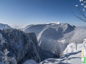 Tour Schneeschuhwandern Saint-Christophe-sur-Guiers - Le Belvédère d'Arpison en raquettes, depuis la Ruchère - Photo