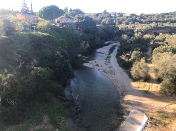 Trail Walking Cournonterral - les touants de Cournonterral  - Photo