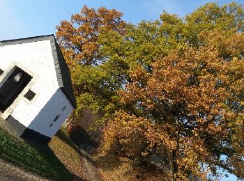 Tour Wandern Beauvechain - Beauvechain - Nethen 16 GRP127 27 11 2018 - Photo