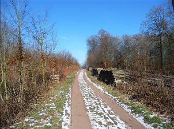 Trail Walking Le Rœulx - Balade champêtre au Roeulx - Photo