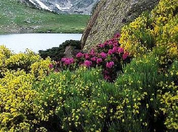 Tour Wandern Porta - Chemin des Bonhommes - Porta Belverr de Cerdanya - Photo