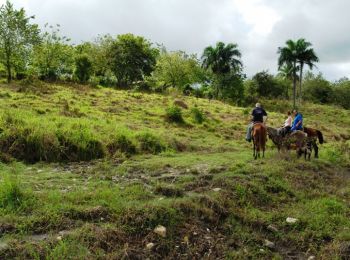 Trail Equestrian Biert - Biert - Lacourt - Photo