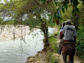 Randonnée Cheval Lacourt - Lacourt - Moulis - Photo