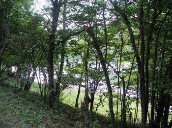 Tocht Paard Bouan - Boucle de Montségur - Bouan - Arignac - Photo