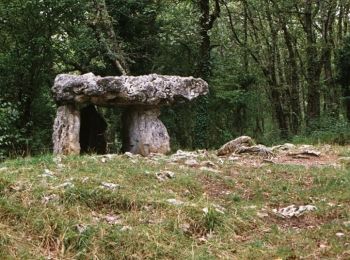 Randonnée Cheval Le Mas-d'Azil - Boucle des Petites Pyrénées - Le Mas-d'Azil- Lasserre - Photo