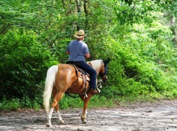 Tocht Paard Saint-Girons - Boucle en Haut-Couserans - St Girons - Biert - Photo