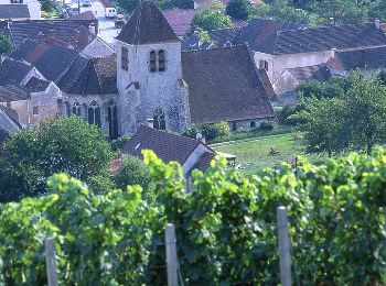 Percorso Marcia Azy-sur-Marne - La corniche d'Azy - Photo