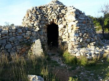 Tocht Mountainbike Leucate - VTT Leucate Fitou Salses  - Photo