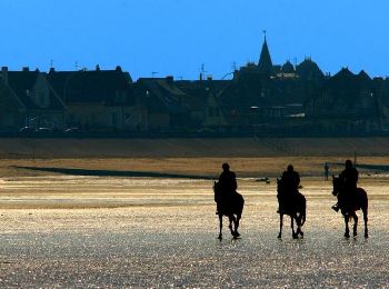 Tour Pferd Trédrez-Locquémeau - Journée autour de Tredez par Saint Michel en Grève - Photo