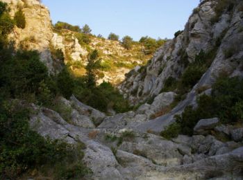 Tour Wandern Gruissan - Combe de Lavit - Photo