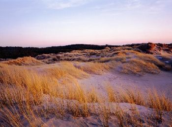 Trail Walking Fort-Mahon-Plage - La dune de l'Authie - Photo