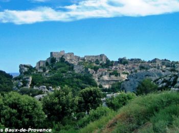 Tour Mountainbike Maussane-les-Alpilles - Les Baux de Provence - Photo