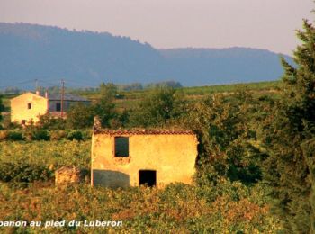 Percorso Mountainbike Cabrières-d'Aigues - Sur les traces du sentier géologique - Grand Luberon - Photo