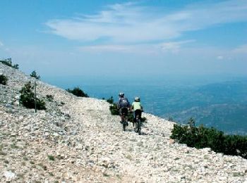 Trail Mountain bike Bédoin - La combe Fiole - Photo