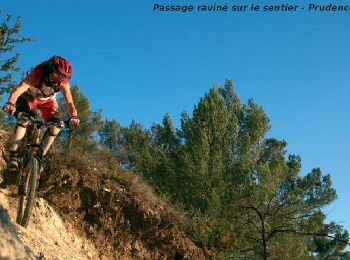 Trail Mountain bike Cucuron - Le Coteau des Gamates - Photo