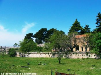 Percorso Mountainbike Le Rove - Le village de la Nerthe - Photo