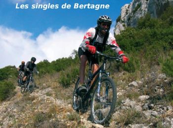 Trail Mountain bike Gémenos - Le pic de Bertagne  - Photo