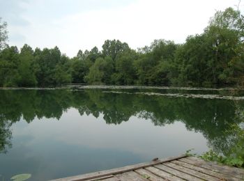 Randonnée Marche Mareuil-Caubert - Les étangs et marais de Mareuil - Caubert - Photo