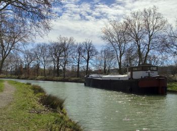 Randonnée Marche Castanet-Tolosan - Canal du Midi - Ecluse de Vic - Donneville - Photo