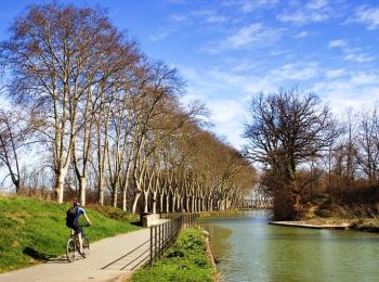 Trail Walking Ayguesvives - Canal du Midi - Ecluse du Sanglier - Ecluse de Laval - Photo