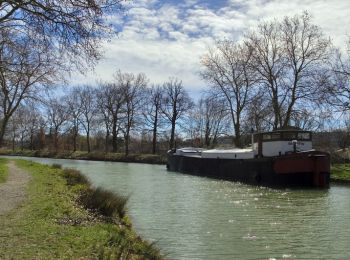 Randonnée Marche Gardouch - Canal du Midi - Ecluse de Laval - En Cassan - Photo