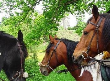 Tocht Paard Saint-Méloir-des-Ondes - Dinan - Mont Saint Michel 3 - Photo