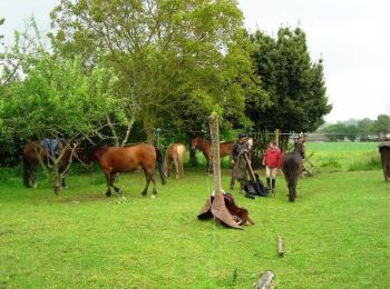 Tocht Paard Saint-Marcan - De Saint Marcan à Antrain - Equibreizh - Photo