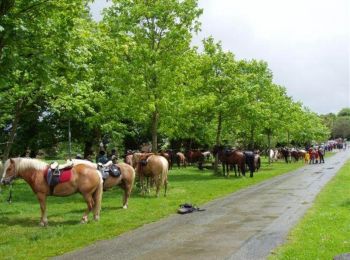 Tour Pferd Maen-Roch - Saint Brice en Coglès - Forêt de Fougères - Equibreizh - Photo