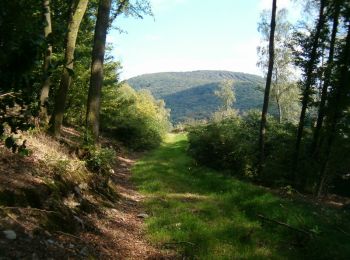 Tour Wandern Haybes - Les chemins des Ardoisières - Photo