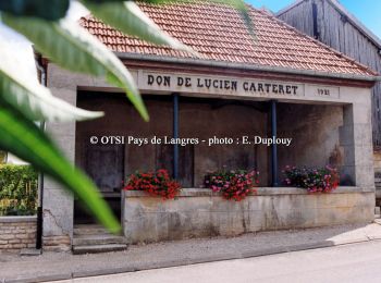 Tour Wandern Saint-Loup-sur-Aujon - Le Signal de Saint - Loup  sur Aujon - Photo