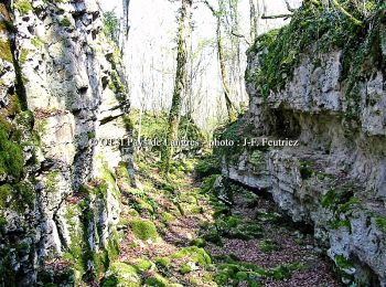 Percorso Marcia Noidant-le-Rocheux - Lacs et falaises de la Mouche - Photo