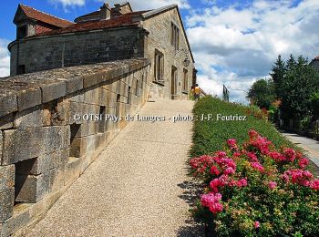 Randonnée Marche Langres - La croisée des Voies Romaines - Langres - Photo