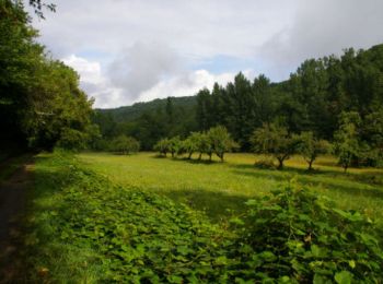 Tocht Stappen Corn - Corn - Marcilhac sur Célé - Chemin de St-Jacques de Compostelle - Photo