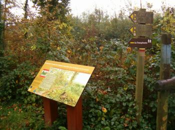 Tocht Stappen Eppe-Sauvage - La Transylvestre - Photo