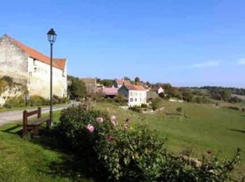 Trail Walking Tannières - Par Horle et Larris - Photo