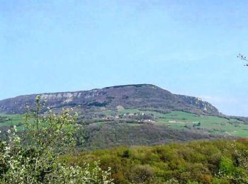 Randonnée Marche Pagnoz - Colline et ruines du château de Vaulgrenant - Photo