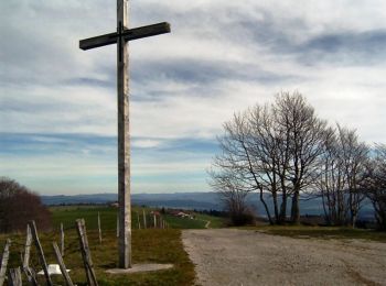 Tocht Stappen Arc-sous-Cicon - Le Crêt Monniot (1141 m) depuis Les Cordiers - Photo