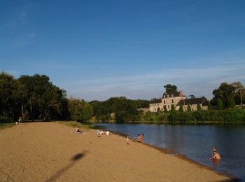 Tocht Stappen Gennes-Val-de-Loire - De Loire en forêt - Le Thoureil - Photo