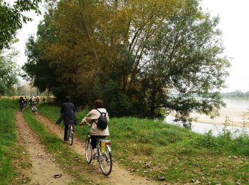 Tour Wandern Gennes-Val-de-Loire - Perspectives de Loire - Cunault - Photo
