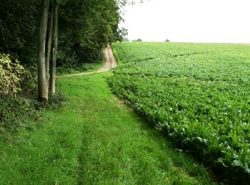 Randonnée Marche Authie - Autour du Prieuré d'Authie - Photo