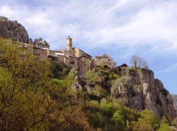 Tour Wandern Roubion - Le Bois de Falcon - Roubion - Photo