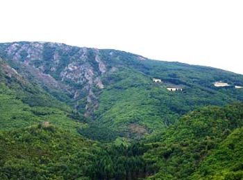 Tocht Mountainbike Rosis - Haute vallée de la Mare, le Castélas - Photo