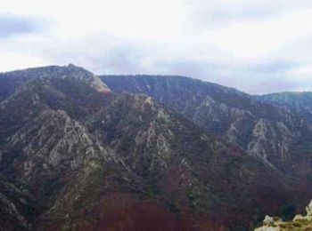 Tour Mountainbike Rosis - Haute vallée de la Mare, le Castélas - variante courte - Photo