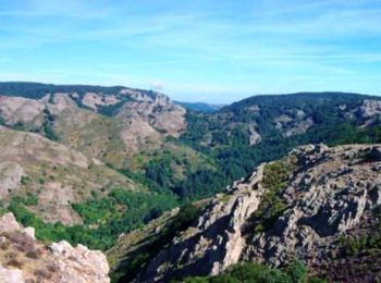 Tocht Mountainbike Rosis - Montagnes de Rosis et d'Aret - Photo