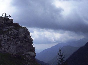 Randonnée Marche Roubion - Le Bois du Larzé - Roubion - Photo