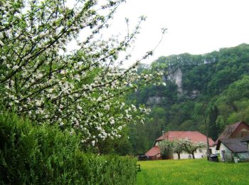 Trail Walking Guillon-les-Bains - Le Mont de Guillon - Doubs - Photo