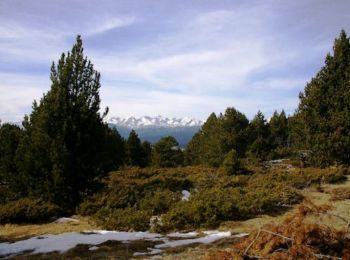 Excursión Senderismo La Llagonne - Puig de la Tossa - Photo