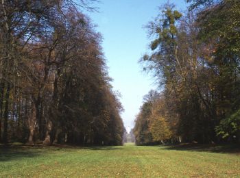 Randonnée Marche Villers-Cotterêts - Les Cotrets - Photo